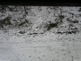 長野県菅平高原 ゆたか山荘 東側(坂下) 2026/04/07 15:30