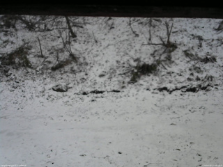 長野県菅平高原 ゆたか山荘 東側(坂下) 2026/04/07 15:45