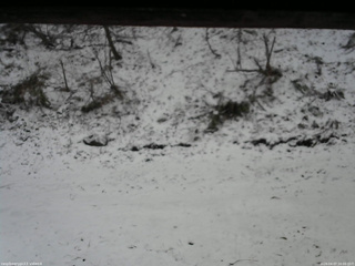 長野県菅平高原 ゆたか山荘 東側(坂下) 2026/04/07 16:00