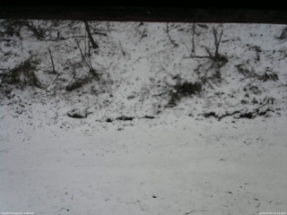 長野県菅平高原 ゆたか山荘 東側(坂下) 2026/04/07 16:15