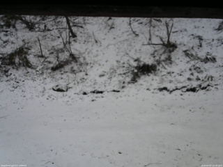 長野県菅平高原 ゆたか山荘 東側(坂下) 2026/04/07 16:30