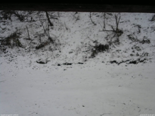 長野県菅平高原 ゆたか山荘 東側(坂下) 2026/04/07 16:45