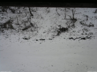 長野県菅平高原 ゆたか山荘 東側(坂下) 2026/04/07 17:00