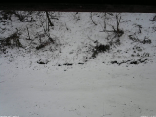 長野県菅平高原 ゆたか山荘 東側(坂下) 2026/04/07 17:45