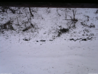 長野県菅平高原 ゆたか山荘 東側(坂下) 2026/04/07 18:00