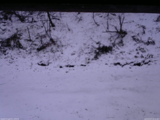 長野県菅平高原 ゆたか山荘 東側(坂下) 2026/04/07 18:15