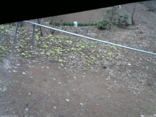 長野県菅平高原 ゆたか山荘 駐車場 2026/04/07 05:45