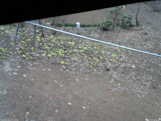 長野県菅平高原 ゆたか山荘 駐車場 2026/04/07 06:00