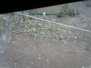 長野県菅平高原 ゆたか山荘 駐車場 2026/04/07 06:15