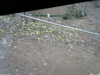 長野県菅平高原 ゆたか山荘 駐車場 2026/04/07 08:15