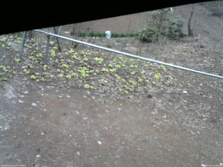 長野県菅平高原 ゆたか山荘 駐車場 2026/04/07 10:15