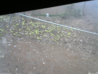 長野県菅平高原 ゆたか山荘 駐車場 2026/04/07 11:30