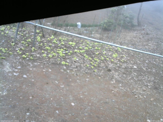 長野県菅平高原 ゆたか山荘 駐車場 2026/04/07 11:45