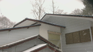 長野県菅平高原 ゆたか山荘 駐車場奥 2026/04/07 15:45