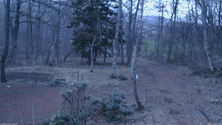 長野県菅平高原 ゆたか山荘 坂上 2026/04/07 05:15