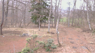 長野県菅平高原 ゆたか山荘 坂上 2026/04/07 05:45