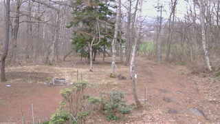 長野県菅平高原 ゆたか山荘 坂上 2026/04/07 06:45