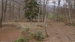 長野県菅平高原 ゆたか山荘 坂上 2026/04/07 08:15