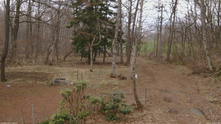 長野県菅平高原 ゆたか山荘 坂上 2026/04/07 10:15