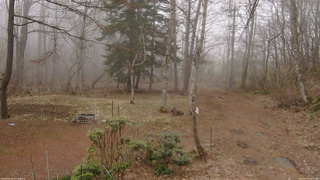 長野県菅平高原 ゆたか山荘 坂上 2026/04/07 10:45