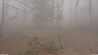 長野県菅平高原 ゆたか山荘 坂上 2026/04/07 11:00