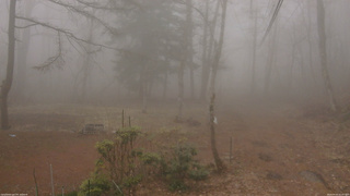 長野県菅平高原 ゆたか山荘 坂上 2026/04/07 11:45