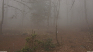長野県菅平高原 ゆたか山荘 坂上 2026/04/07 12:00