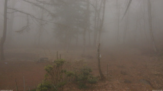 長野県菅平高原 ゆたか山荘 坂上 2026/04/07 12:15