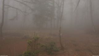 長野県菅平高原 ゆたか山荘 坂上 2026/04/07 12:45