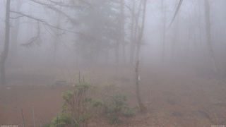 長野県菅平高原 ゆたか山荘 坂上 2026/04/07 13:00