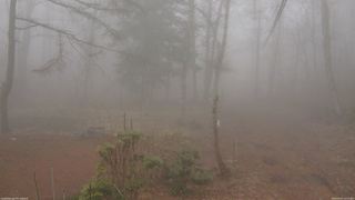 長野県菅平高原 ゆたか山荘 坂上 2026/04/07 13:15