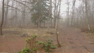 長野県菅平高原 ゆたか山荘 坂上 2026/04/07 13:45
