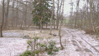 長野県菅平高原 ゆたか山荘 坂上 2026/04/07 14:15