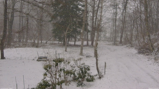 長野県菅平高原 ゆたか山荘 坂上 2026/04/07 15:45