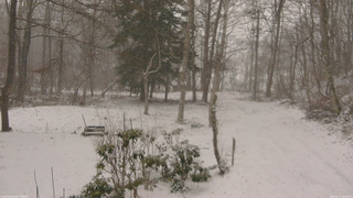 長野県菅平高原 ゆたか山荘 坂上 2026/04/07 16:00