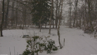 長野県菅平高原 ゆたか山荘 坂上 2026/04/07 16:15