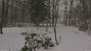 長野県菅平高原 ゆたか山荘 坂上 2026/04/07 17:00