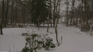 長野県菅平高原 ゆたか山荘 坂上 2026/04/07 17:15