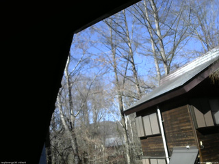 長野県菅平高原 ゆたか山荘 北側 2026/04/08 14:45