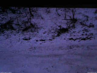 長野県菅平高原 ゆたか山荘 東側(坂下) 2026/04/08 05:00