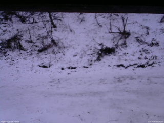 長野県菅平高原 ゆたか山荘 東側(坂下) 2026/04/08 05:15