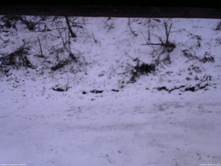 長野県菅平高原 ゆたか山荘 東側(坂下) 2026/04/08 05:30