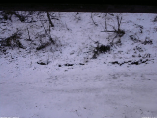 長野県菅平高原 ゆたか山荘 東側(坂下) 2026/04/08 05:45