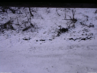 長野県菅平高原 ゆたか山荘 東側(坂下) 2026/04/08 06:00