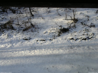 長野県菅平高原 ゆたか山荘 東側(坂下) 2026/04/08 06:15