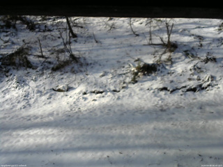 長野県菅平高原 ゆたか山荘 東側(坂下) 2026/04/08 06:45