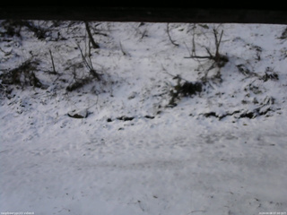 長野県菅平高原 ゆたか山荘 東側(坂下) 2026/04/08 07:00