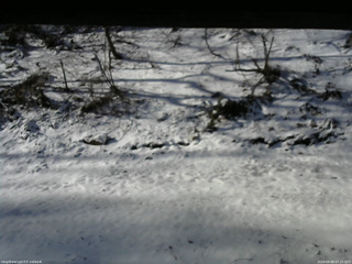 長野県菅平高原 ゆたか山荘 東側(坂下) 2026/04/08 07:15