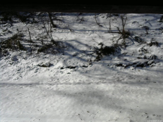 長野県菅平高原 ゆたか山荘 東側(坂下) 2026/04/08 07:30