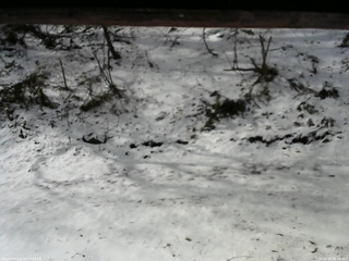 長野県菅平高原 ゆたか山荘 東側(坂下) 2026/04/08 08:00